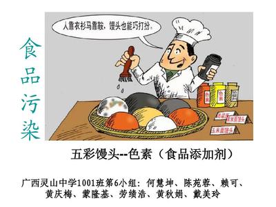 食品污染PPT